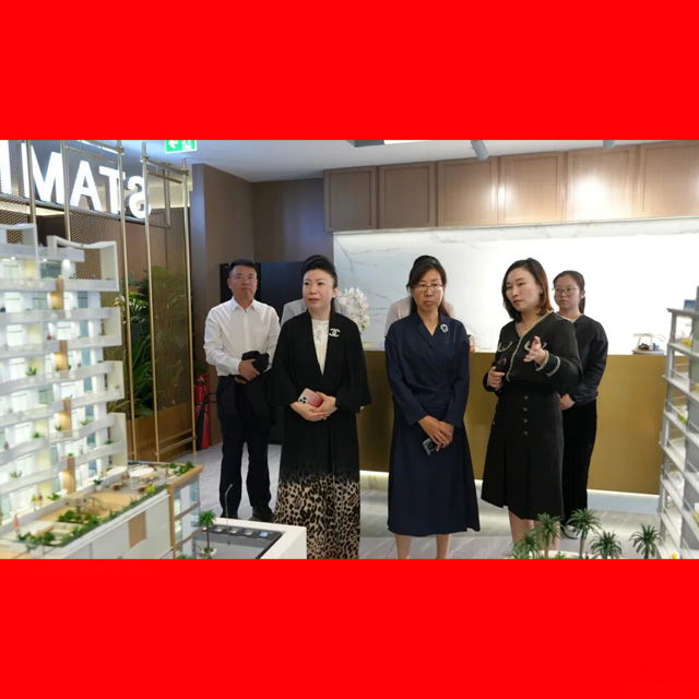 Beijing Changping Delegation Visits STAMN to Discuss China&ndash;UAE Urban Cooperation